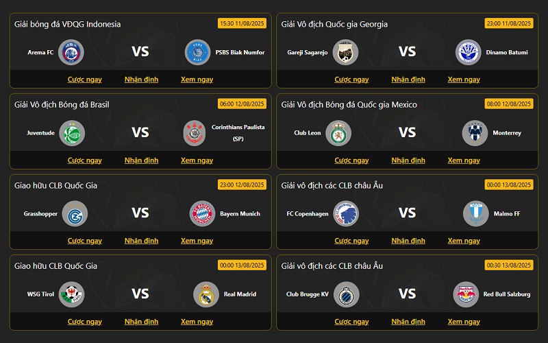 Cung cấp nhiều giải đấu